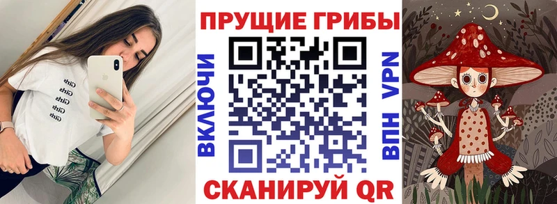 Галлюциногенные грибы мицелий  где купить наркоту  Курчатов 